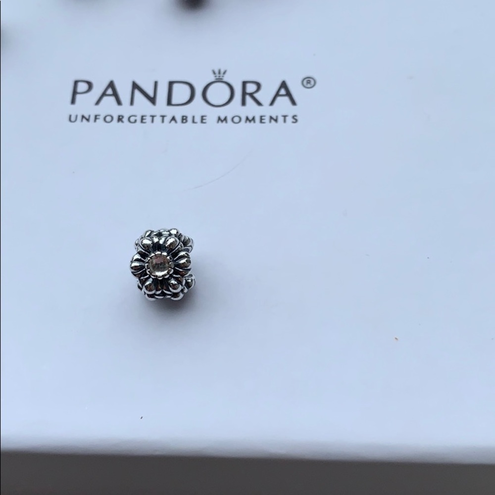 Authentic Pandora Charm
